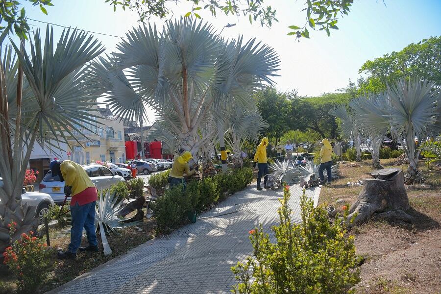 Alcaldía de Cartagena