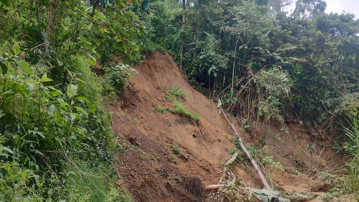 Director Udegerd Quindío