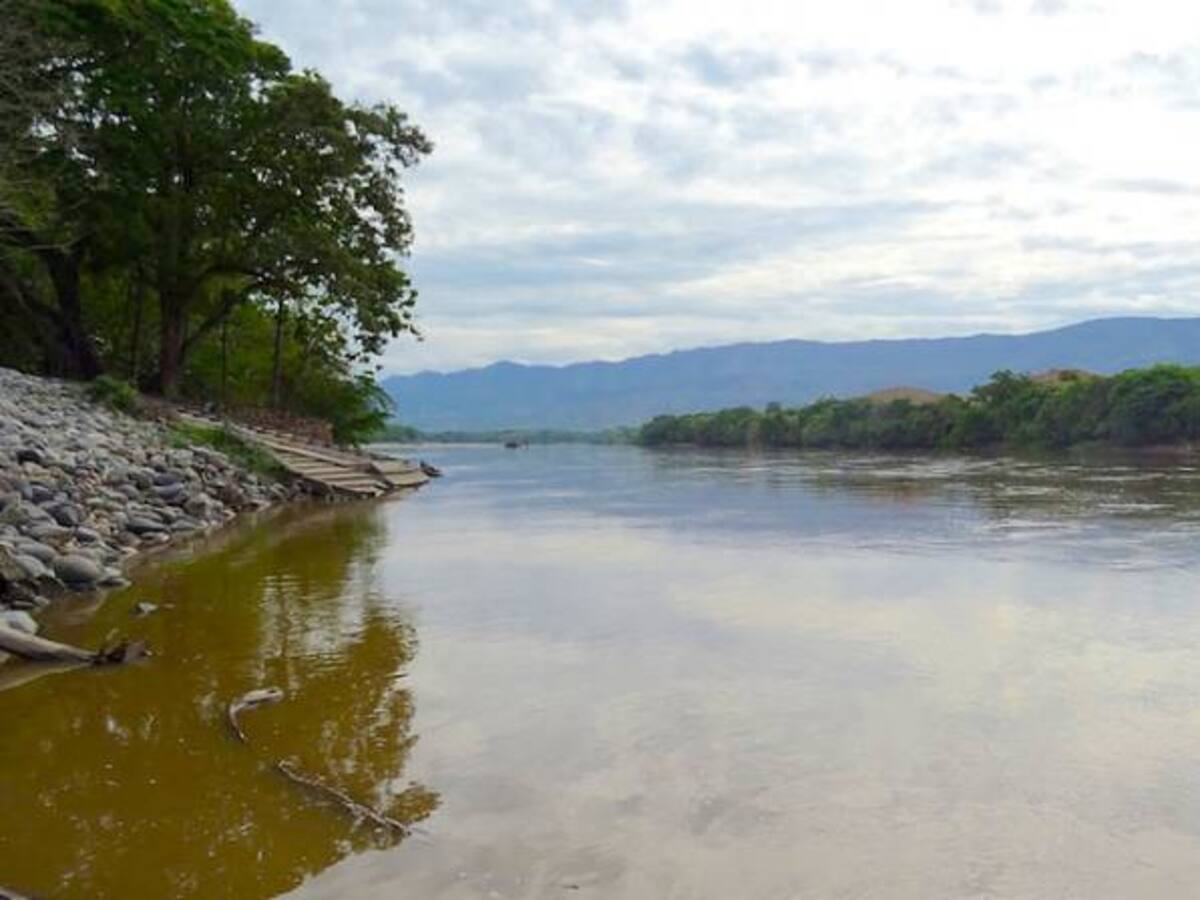 Navelena anuncia millonaria demanda a Cormagdalena