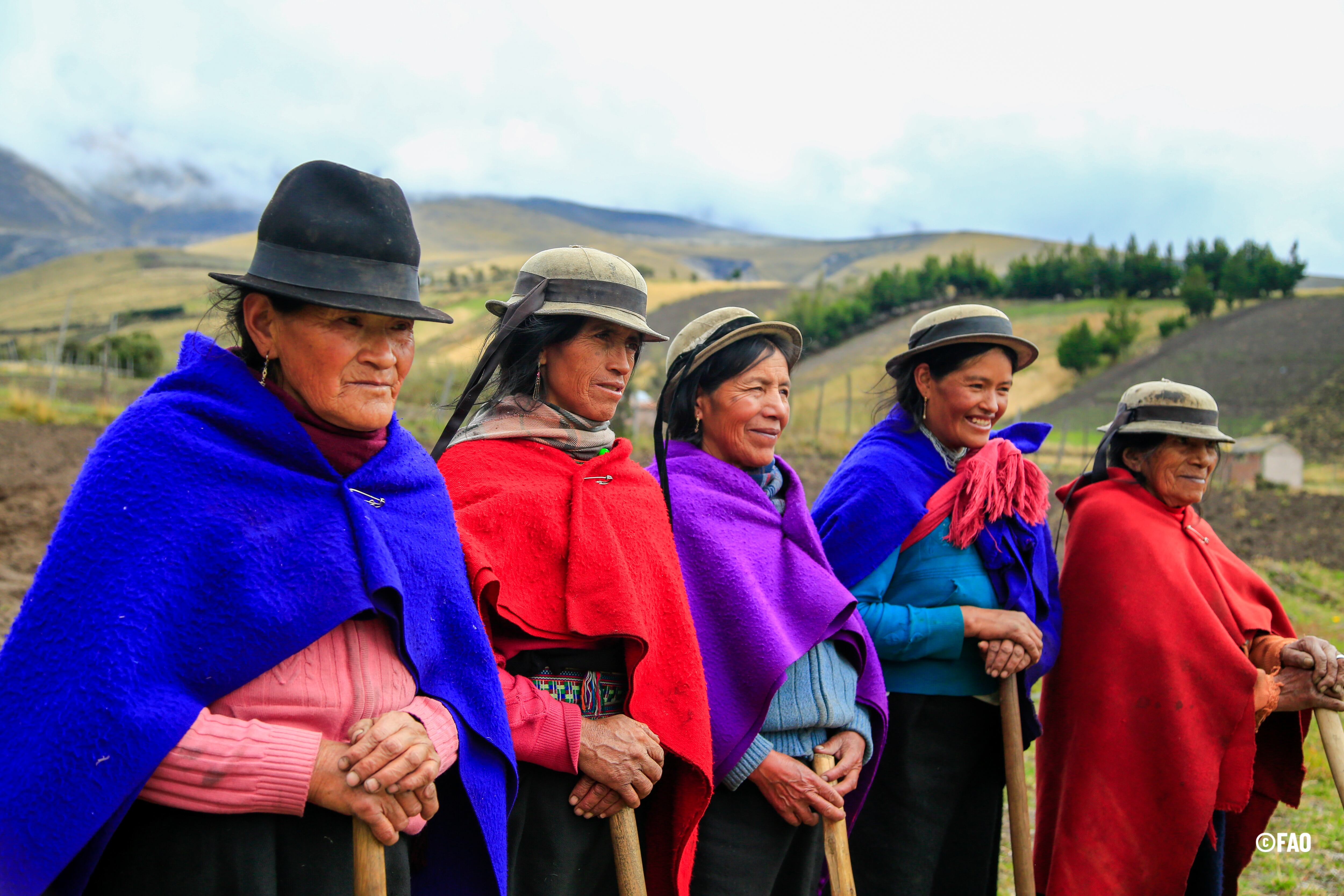 La plataforma seguirá ampliando su oferta educativa a medida que avance el crecimiento del portal actual y se detecten más necesidades para cubrir. | Foto: cortesía FAO Ecuador