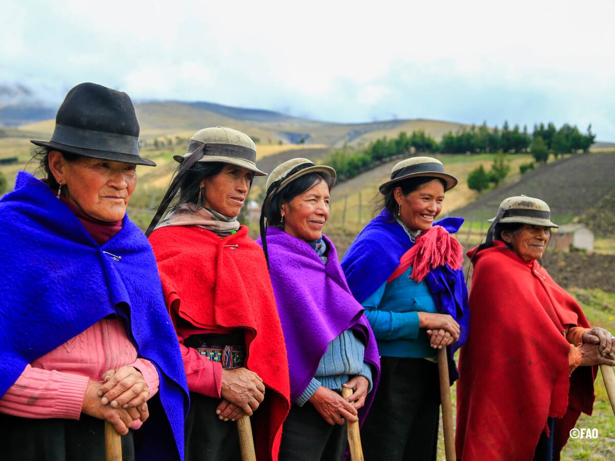 FAO lanza plataforma regional para empoderar a mujeres rurales y fortalecer la sostenibilidad