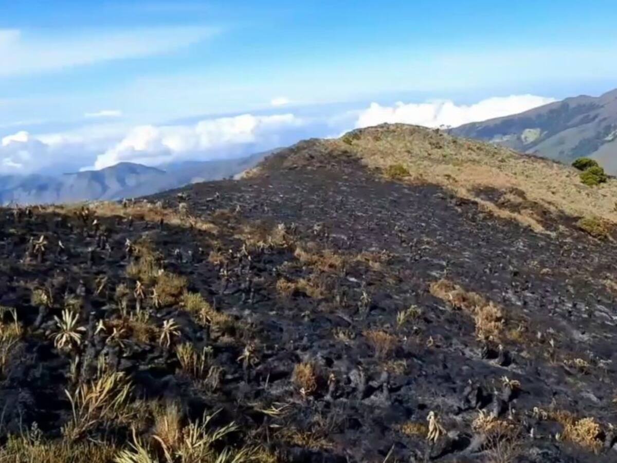 VIDEO: La lluvia y 4 héroes apagaron incendio en el páramo