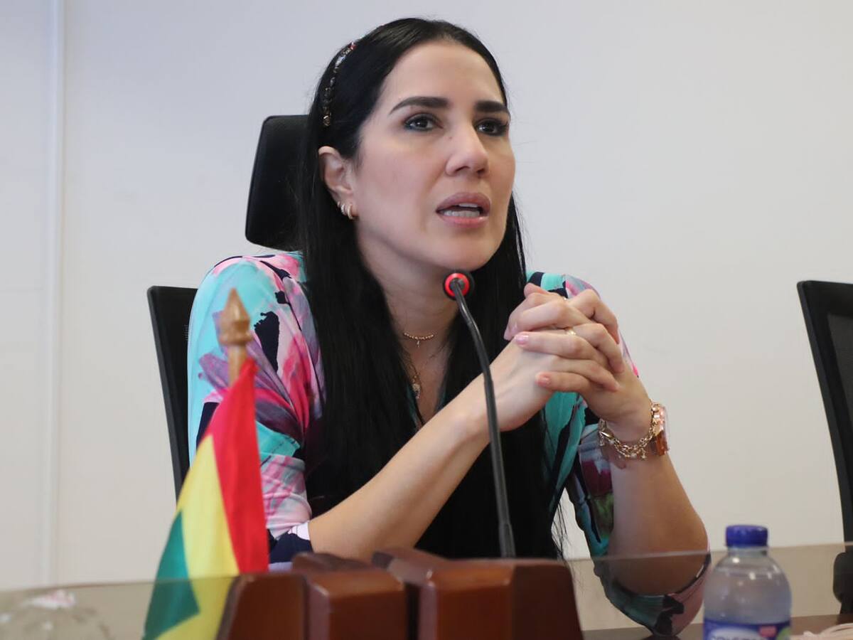 Concejo de Cartagena eligió comisiones permanentes para estudio de proyectos