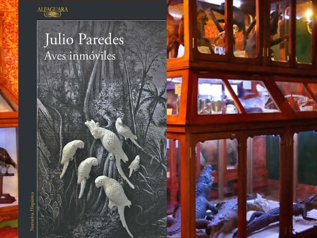“Aves inmóviles”, una novela de misterio sobre la taxidermia y la vida