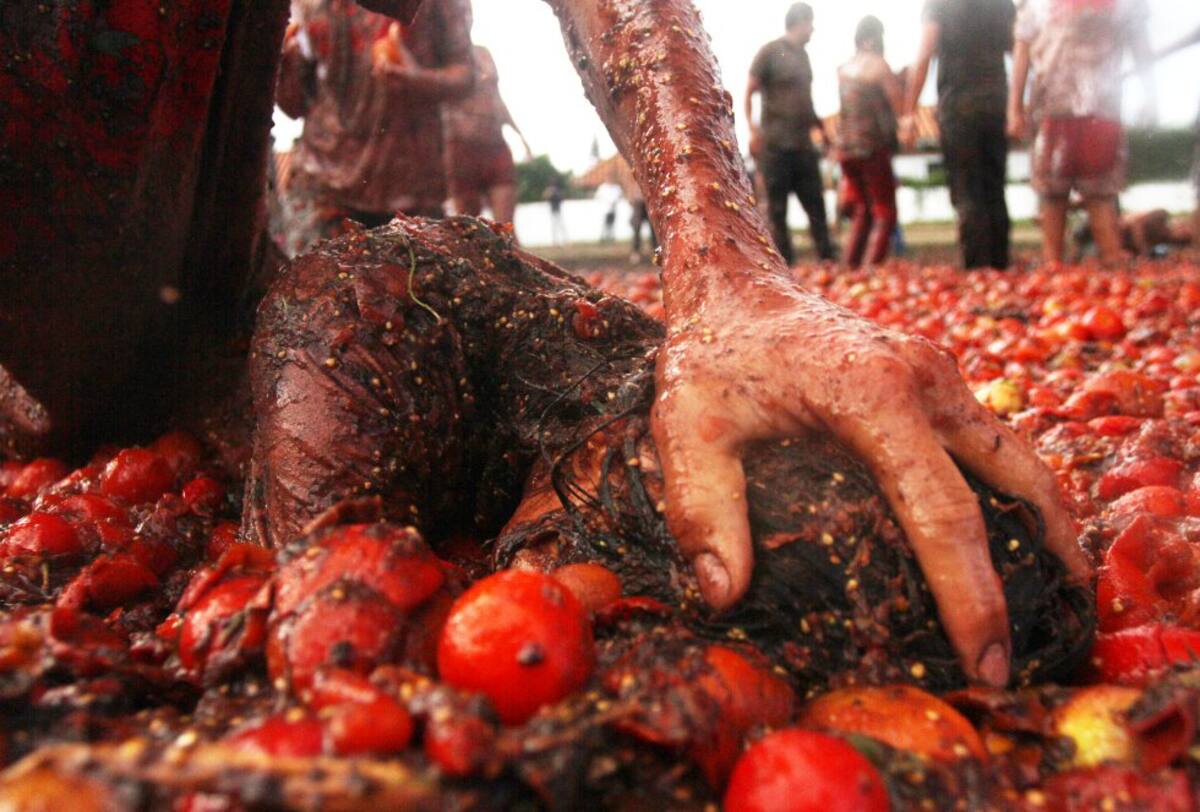 Más de 35.000 kilos de tomates maduros, no aptos para el consumo humano, fueron utilizados en el evento.