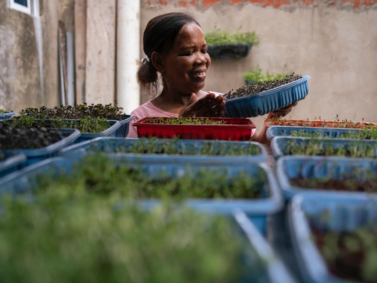 Alma Air impulsa el turismo sostenible y el desarrollo social para Colombia