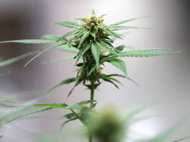 EFE/EPA/RUNGROJ YONGRIT