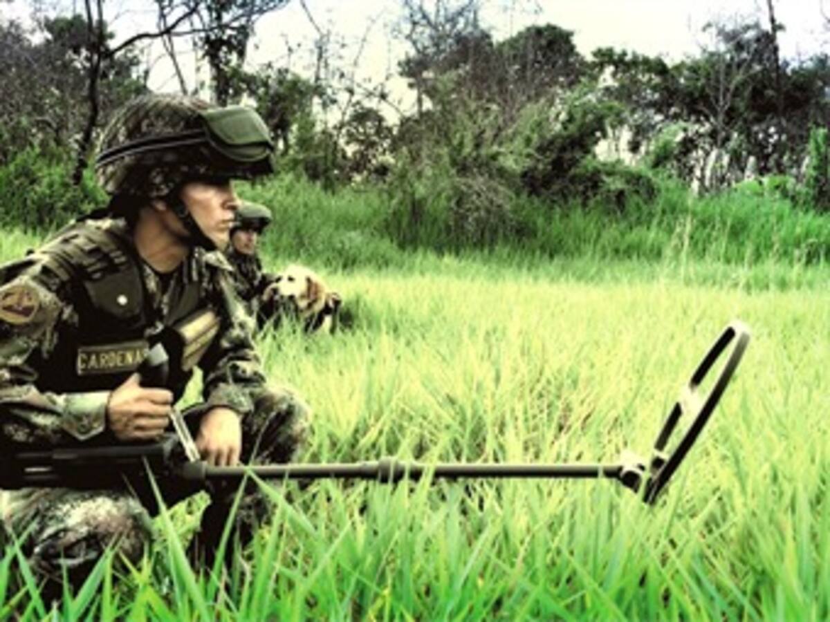 Este año van 28 campos minados desactivados en sur de Bolívar