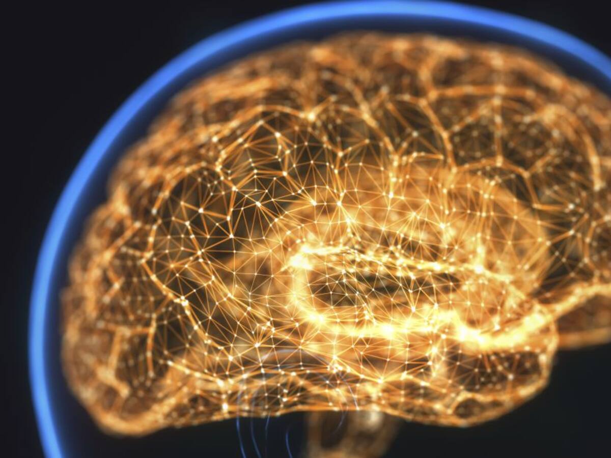 Como entrenar el cerebro para cumplir con nuestras metas