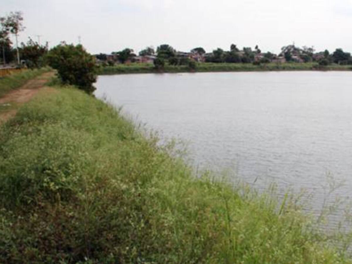 Univalle y DAGMA trabajan crearon proyecto para recuperar el humedal Charco Azul