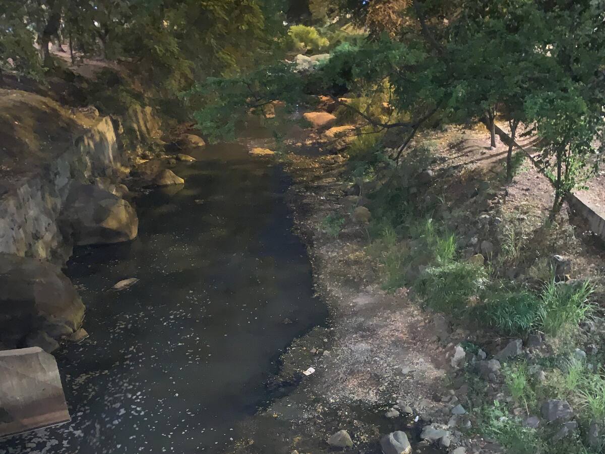 Preocupan bajos niveles en ríos que abastecen acueducto de Cali por altas temperaturas