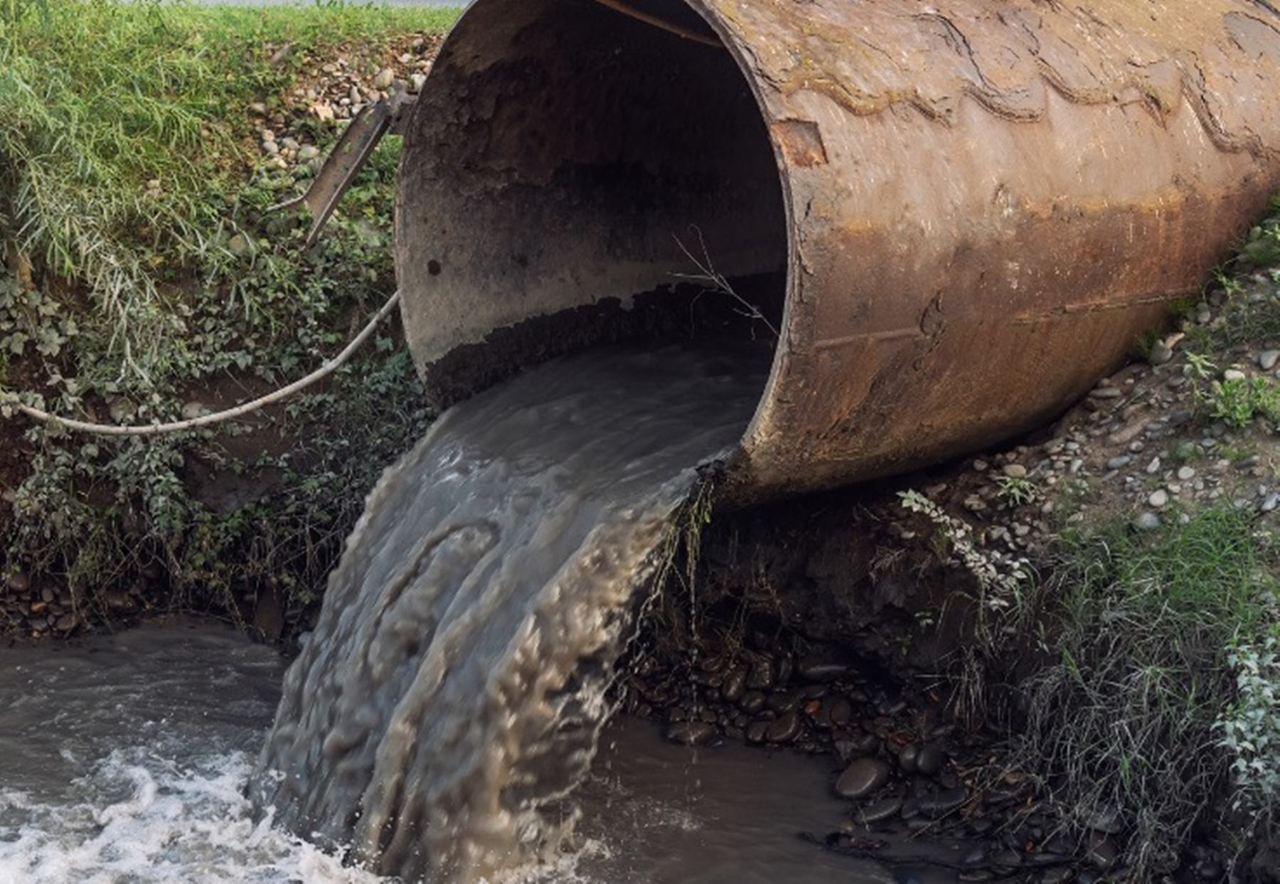 Foto de referencia - Contaminación PTAR
