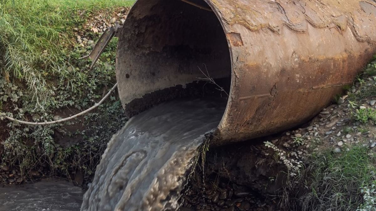 Consejo de Estado ordena la creación de PTAR en zonas rurales de Manizales
