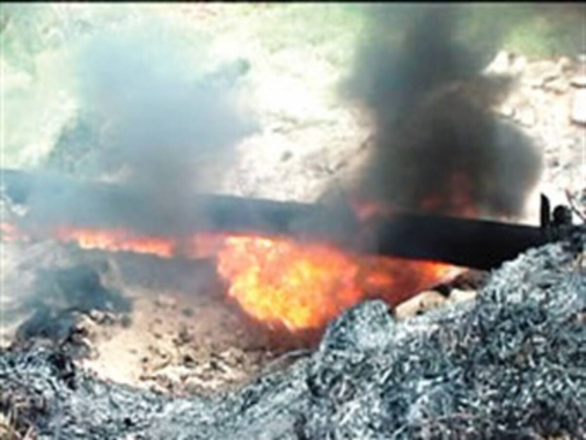 Maria Luisa Calle nuevo record nacional en 3000 metros persecución en Cali