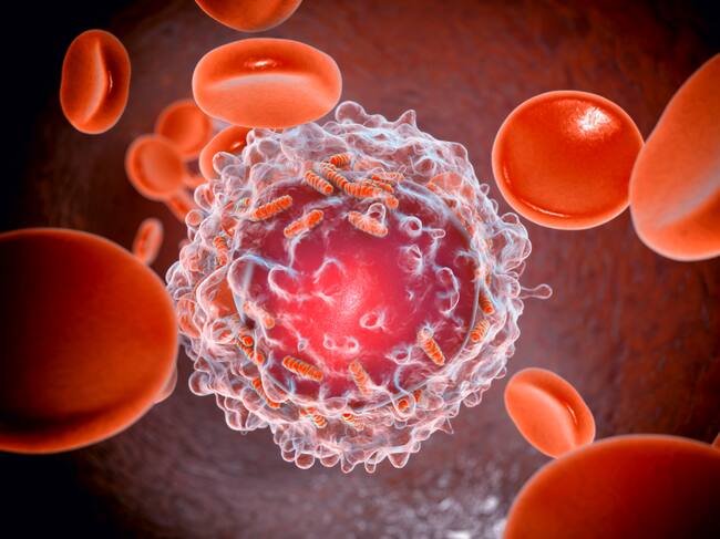 Estudio revela incremento del cáncer en jóvenes/ Gettyimagenes