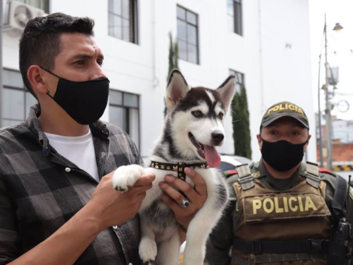 VIDEO: Rescatan otro perro robado en Bucaramanga