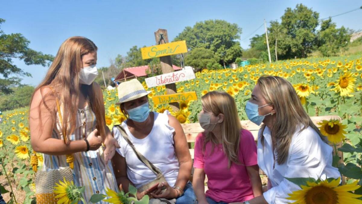 Regresa la Ruta del Girasol al Atlántico