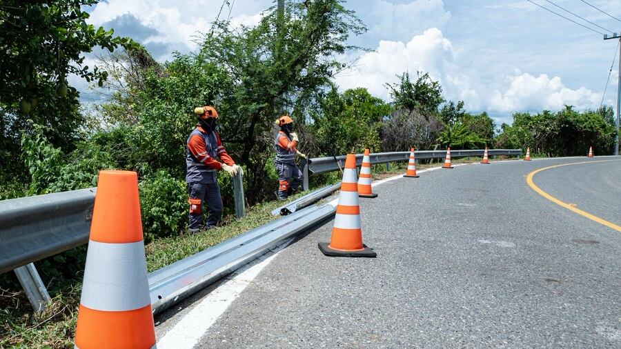 Ecosistemas del Dique