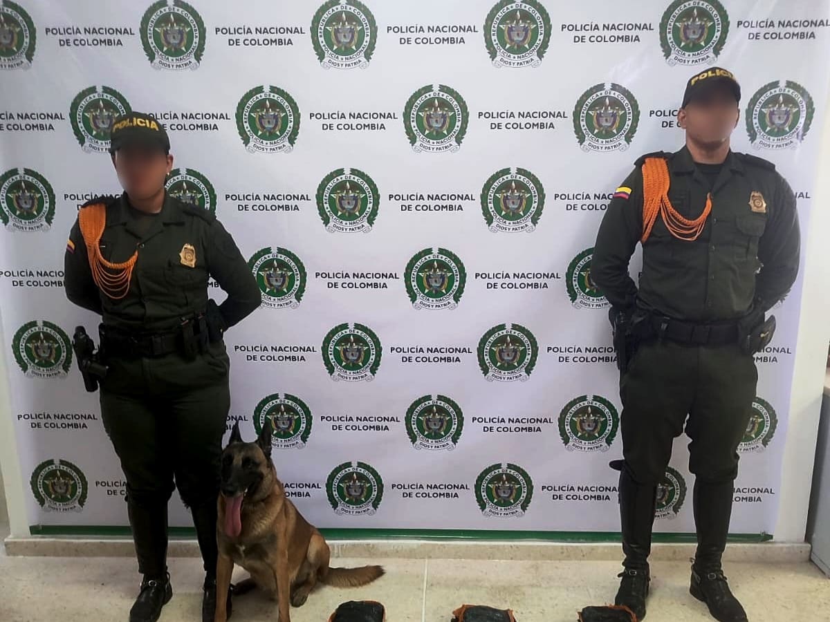 Cayeron 5.000 dosis de estupefacientes en Cartagena: canino Killer lideró el operativo