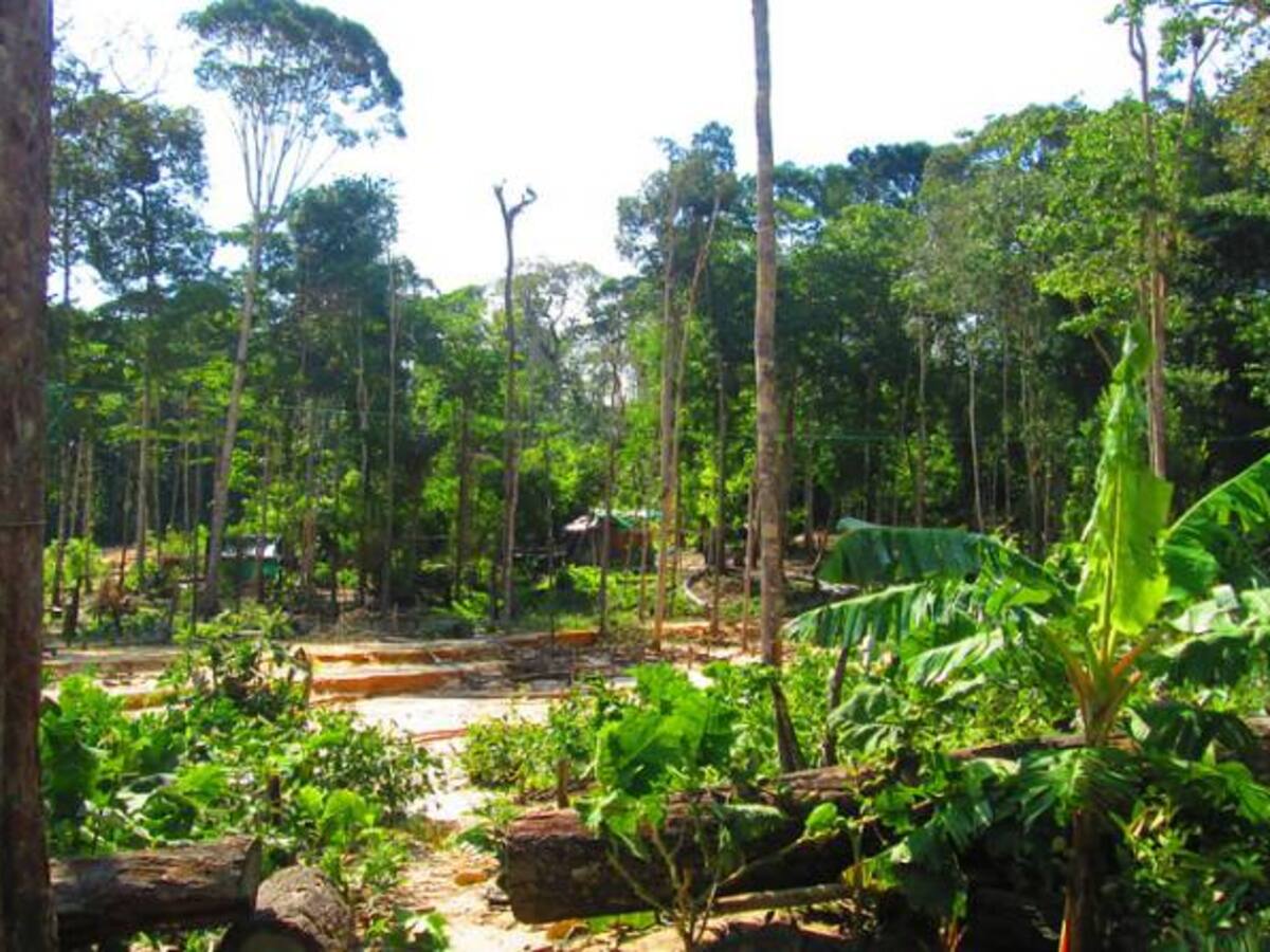 Declaran en Huila nueva zona de reserva natural