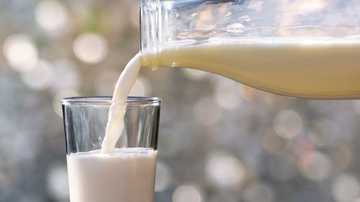 En Colombia está prohibido el lactosuero en la leche de venta: Invima
