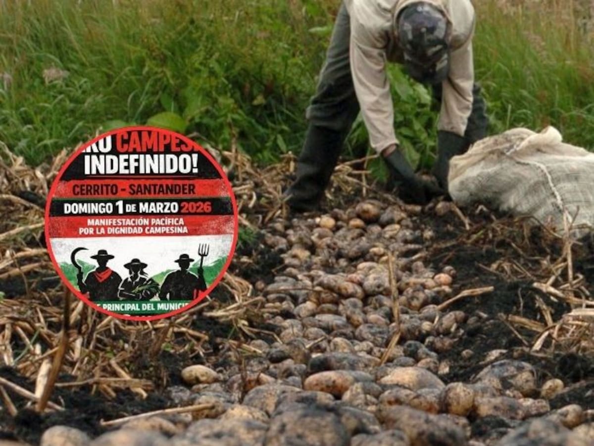 Campesinos de Cerrito en Santander anuncian paro desde el 1 de marzo por proyectos productivos