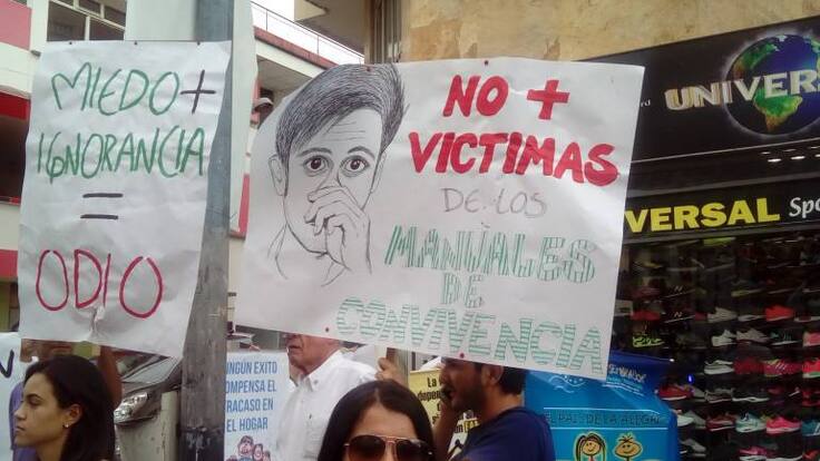 En marcha por la familia en Armenia la comunidad Lgbti también pidió respeto