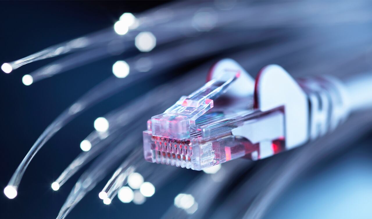 Cortesía : Shutterstock