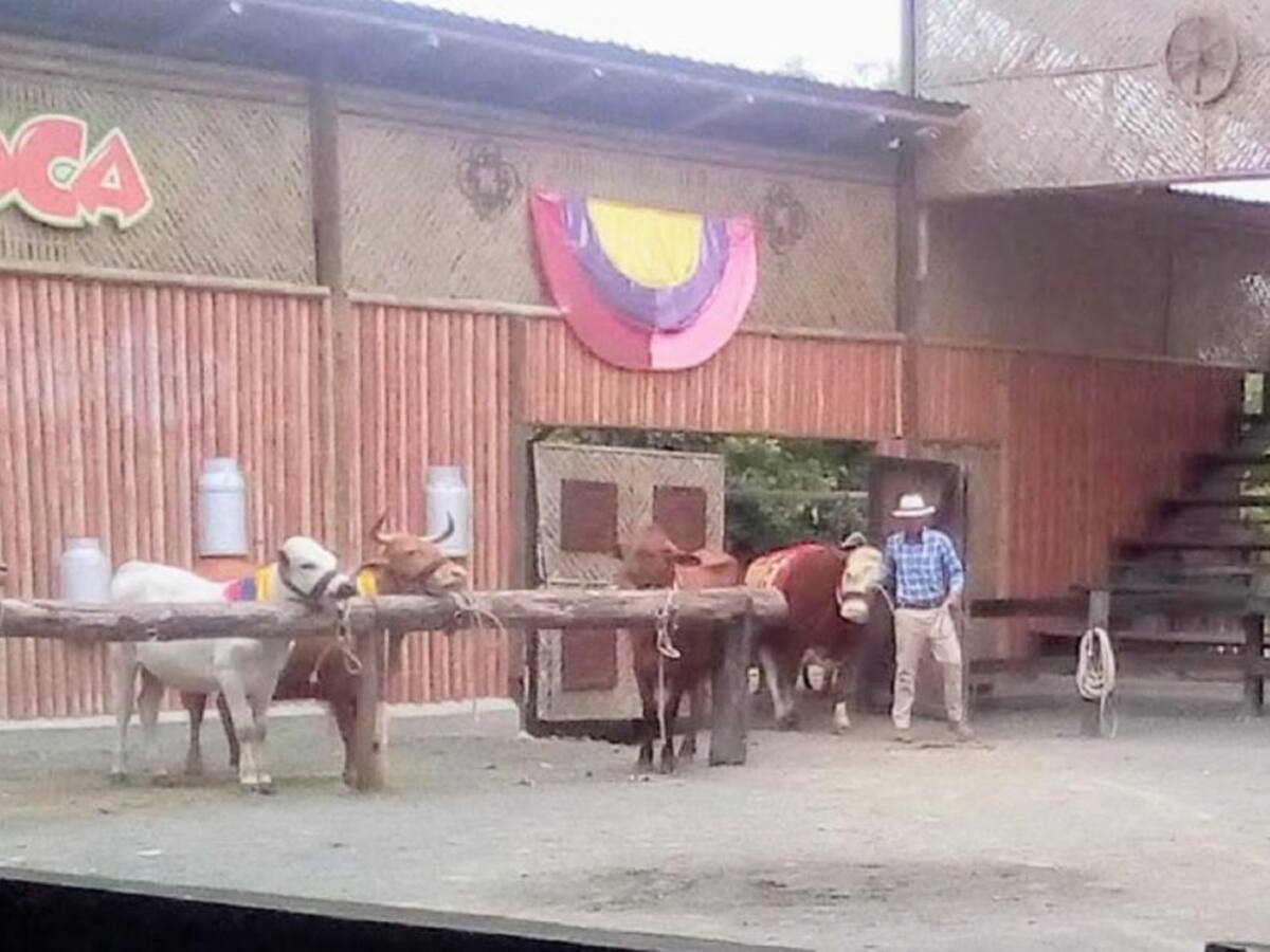 Panaca Viajero llegará a la Feria de Manizales para acercar el campo