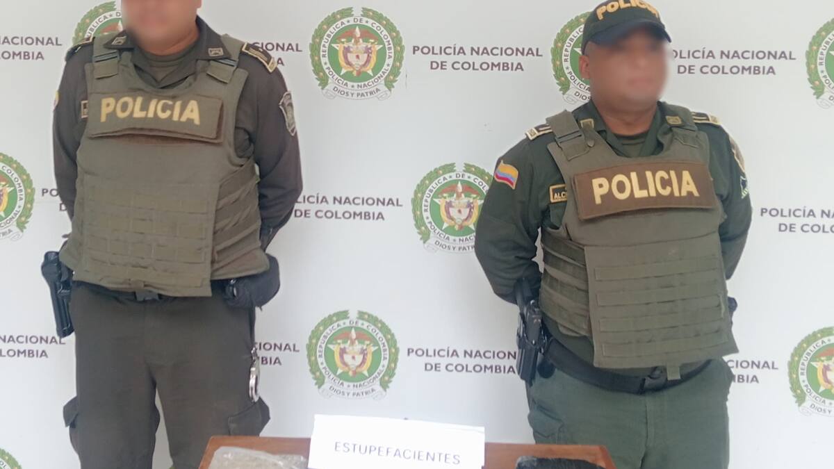 Cayó cargamento de drogas transportado como encomienda en zona industrial de Mamonal