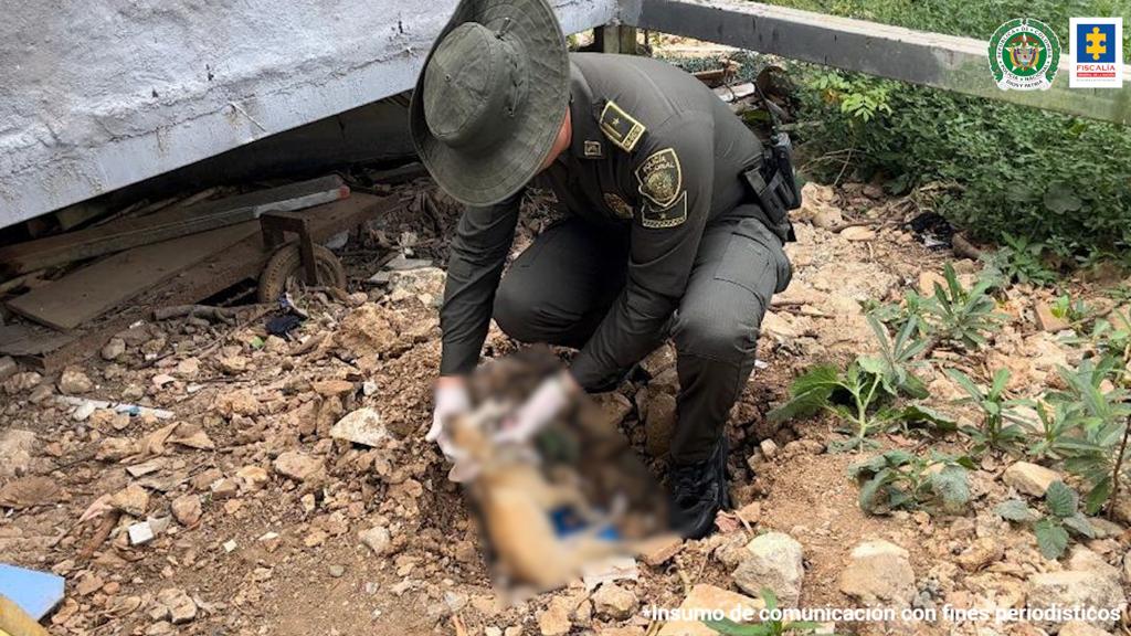 Maltrato animal, Foto: Policía Nacional