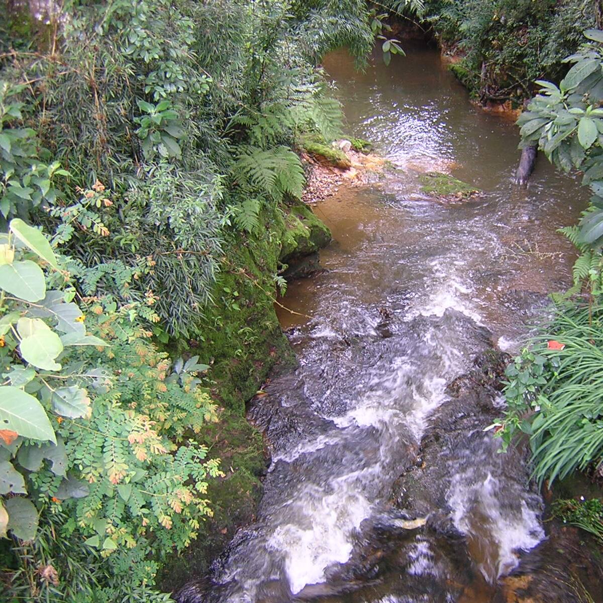 Encontraron el cuerpo de una mujer en una quebrada del corregimiento Santa Elena