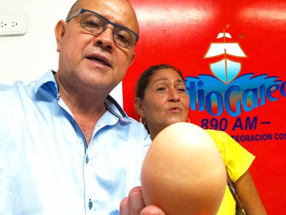 En la Sierra Nevada, gallina pone huevos de cuatro yemas que valen $50.000