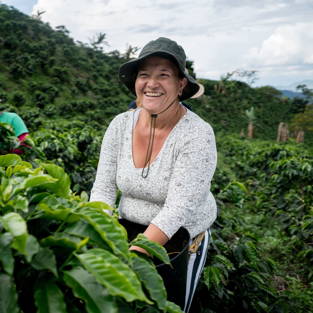 Ecosistemas Agropecuarios: la visión de Davivienda para la sostenibilidad del campo
