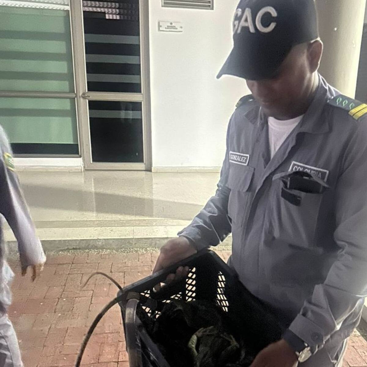 Guardia Ambiental blinda a San José Chiquito contra la caza de iguanas
