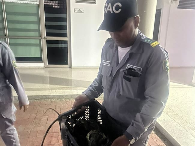 Guardia Ambiental blinda a San José Chiquito contra la caza de iguanas