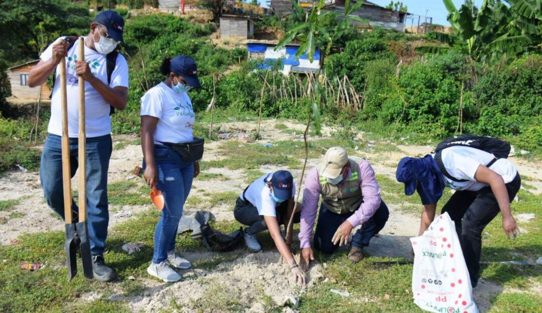 El Establecimiento Público Ambiental, EPA Cartagena con el apoyo de la empresa Otek realizaron una siembra masiva de árboles en sector Kennedy