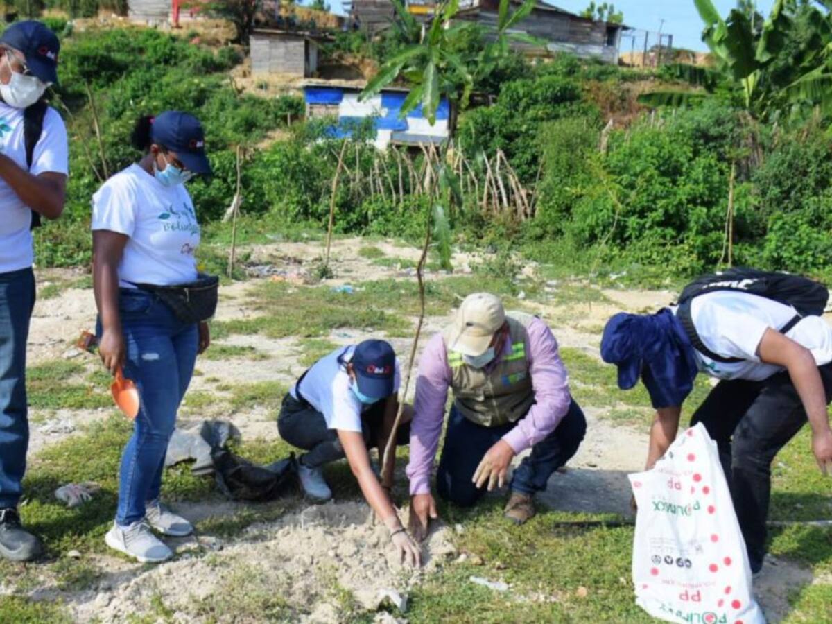 Avanza plan de recuperación ambiental para zonas de la Popa