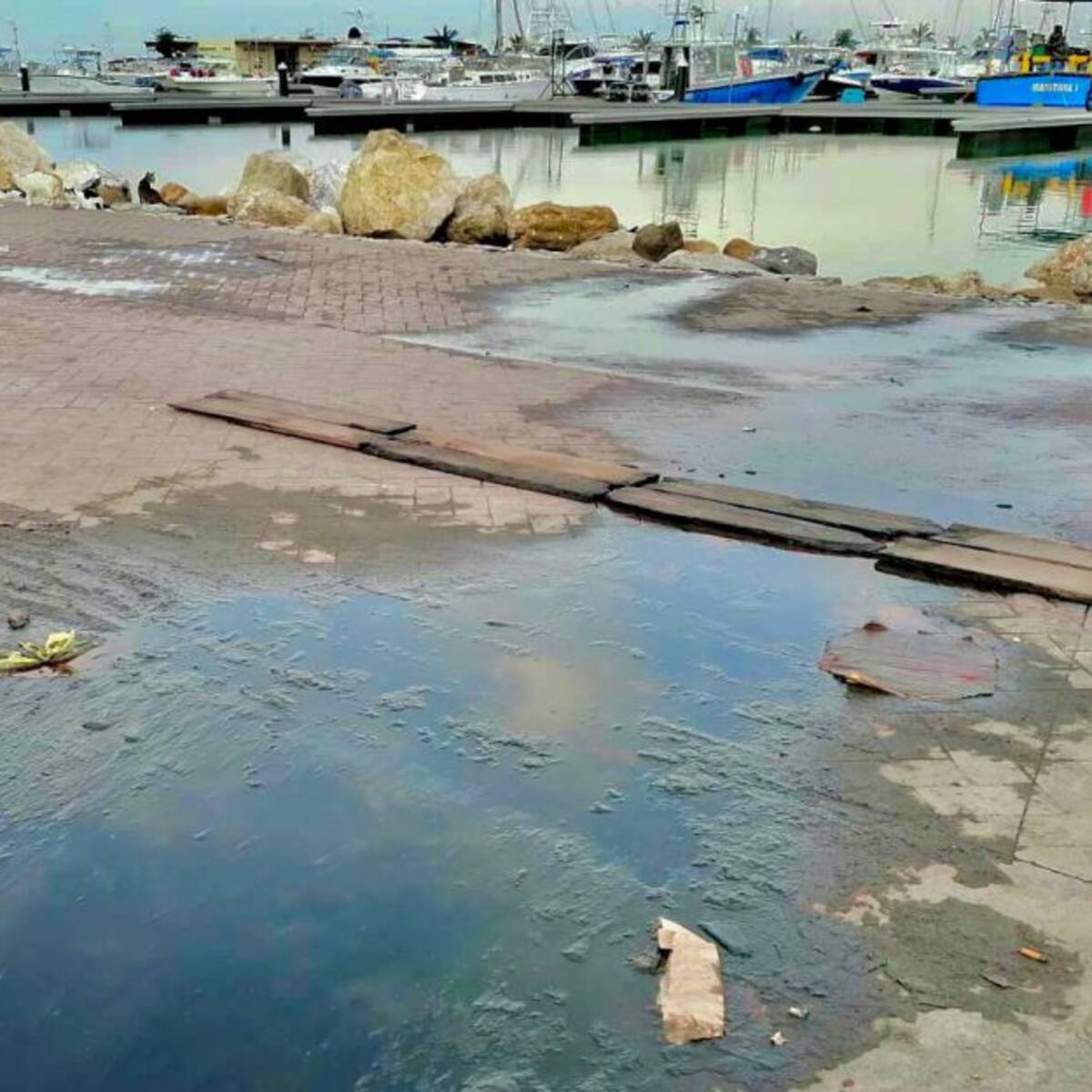 Rebosamiento de aguas servidas, una 'herida' para Santa Marta como destino