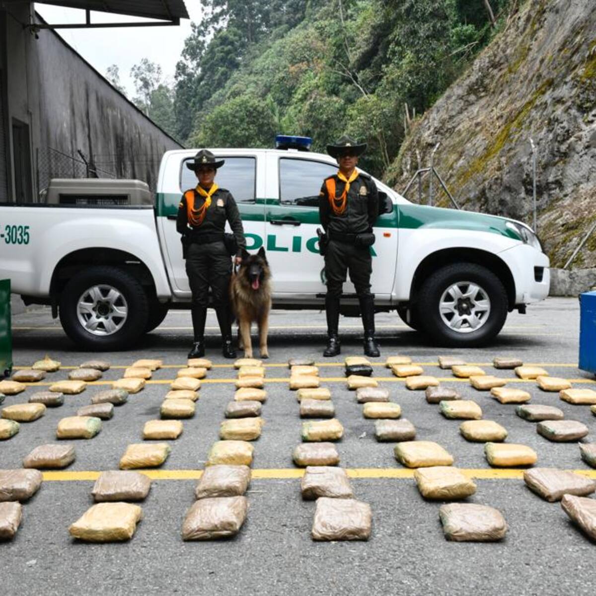 En Sabaneta un perro ubicó 46 kg de cocaína que iban para Turbo, Antioquia