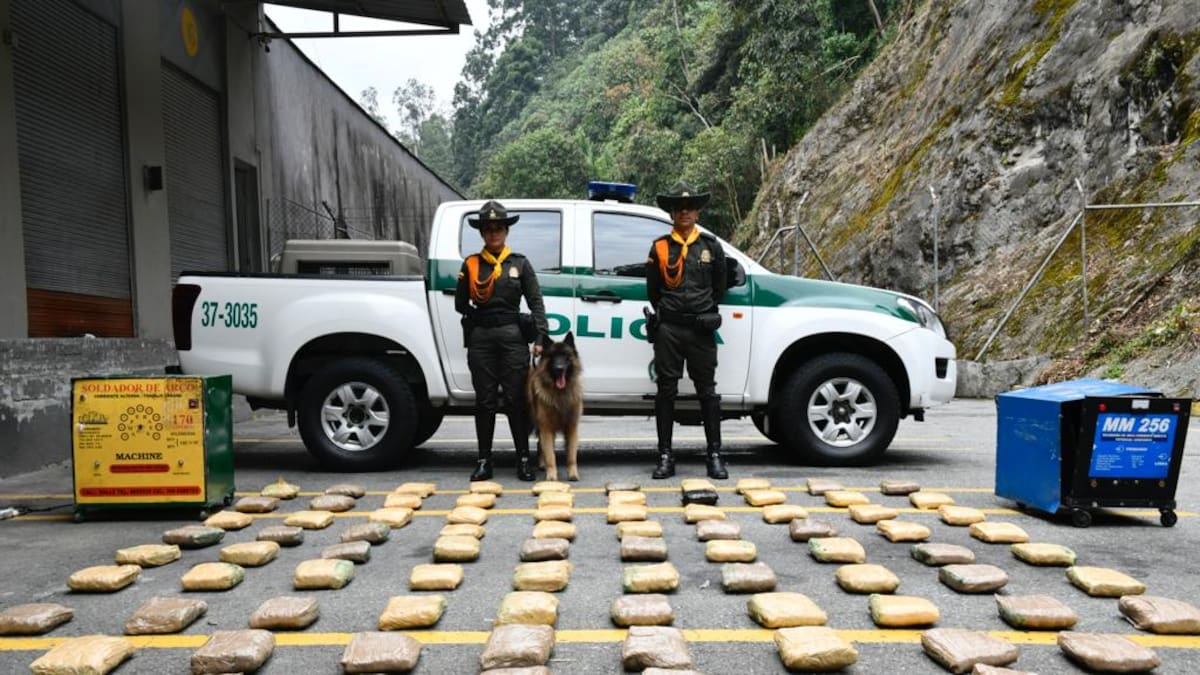En Sabaneta un perro ubicó 46 kg de cocaína que iban para Turbo, Antioquia