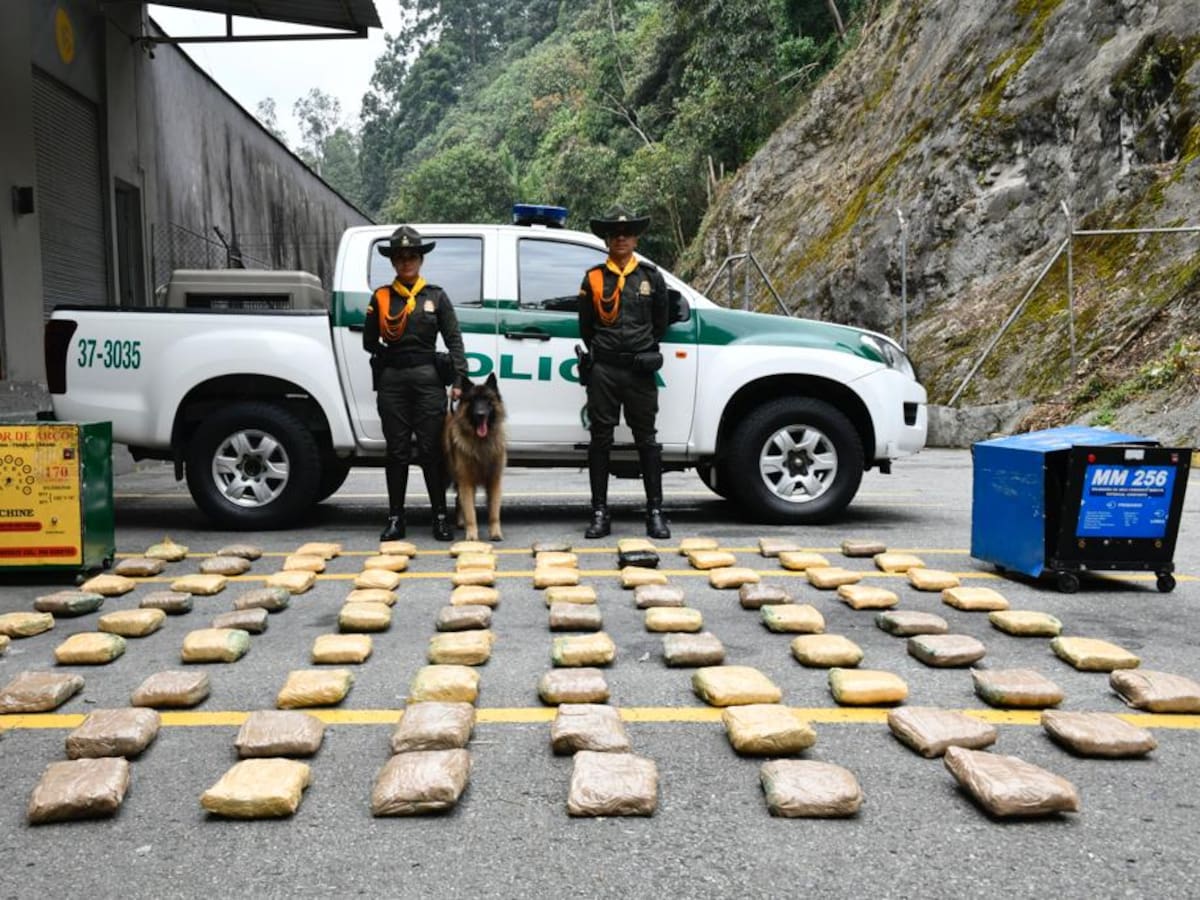 En Sabaneta un perro ubicó 46 kg de cocaína que iban para Turbo, Antioquia