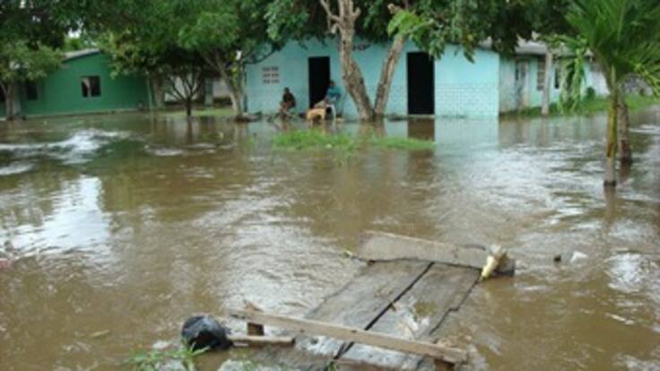 Minagricultura lanza plan con 50 mil millones para ayudar a campesinos afectados por las lluvias