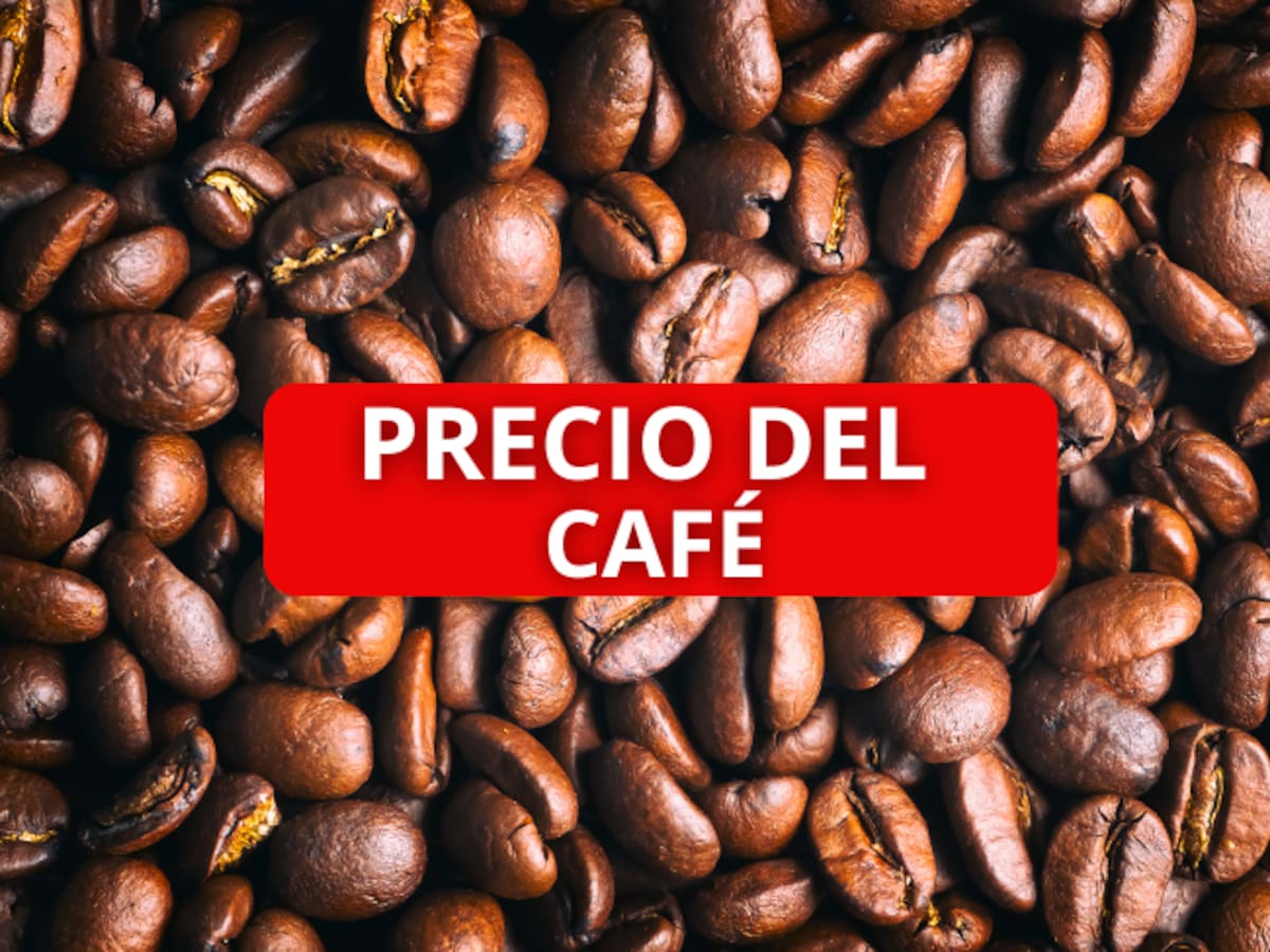 Así cerró la semana el café: cotización oficial de la carga de 125 kg para HOY, 14 de noviembre