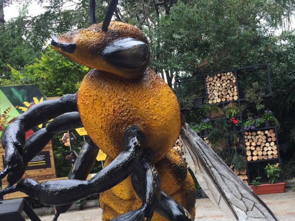 Reducción de caracoles y abejas pone en riesgo a los alimentos de Medellín