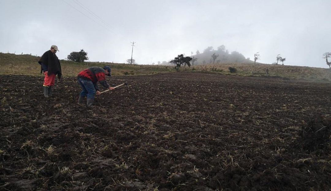 Entrega de insumos en El Desquite