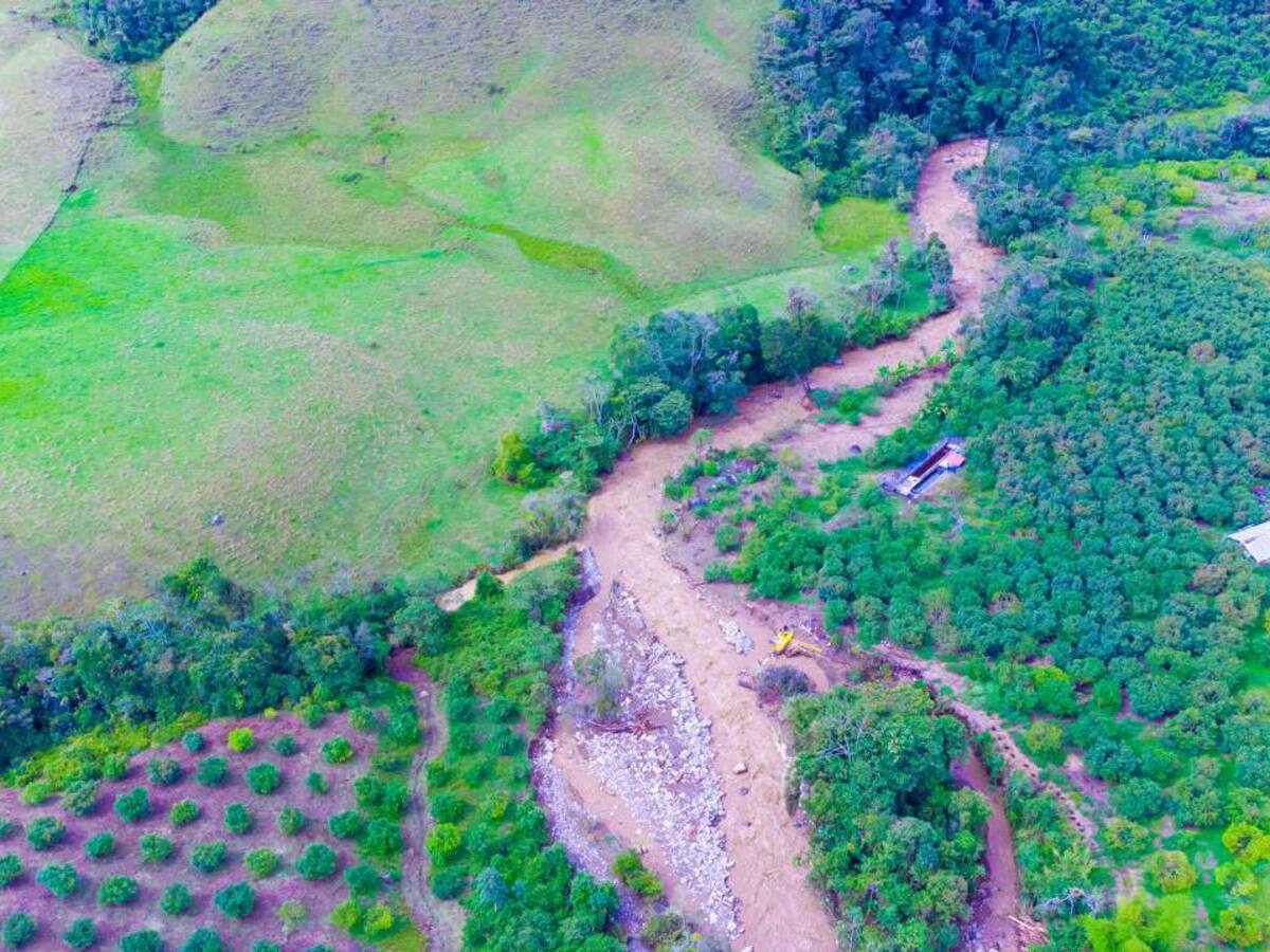 Urrao reportó daño de puentes, cultivos y perdida de animales tras la avenida torrencial