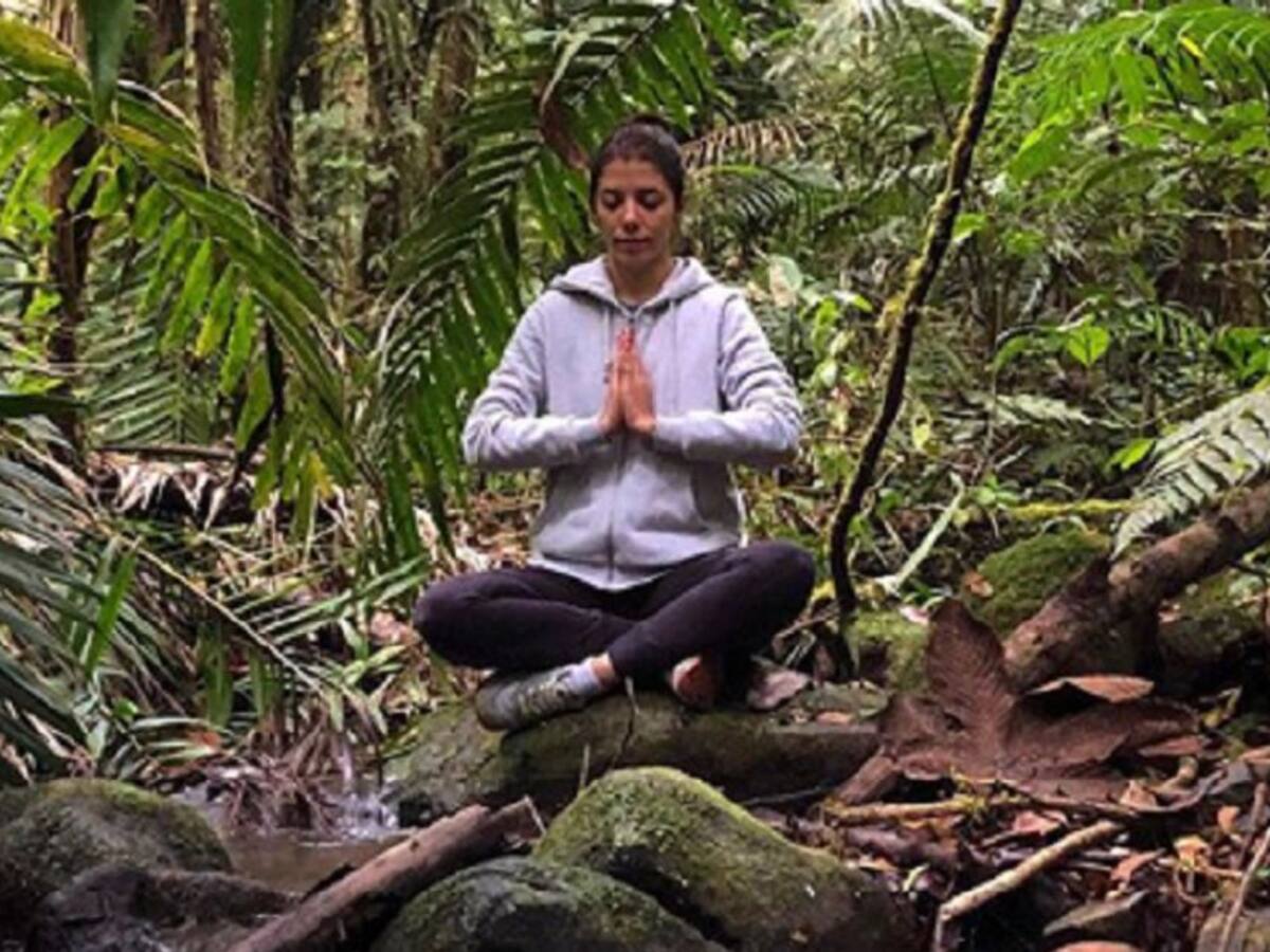 “Baños de Bosque”: Volver a lo natural, el contacto con la naturaleza