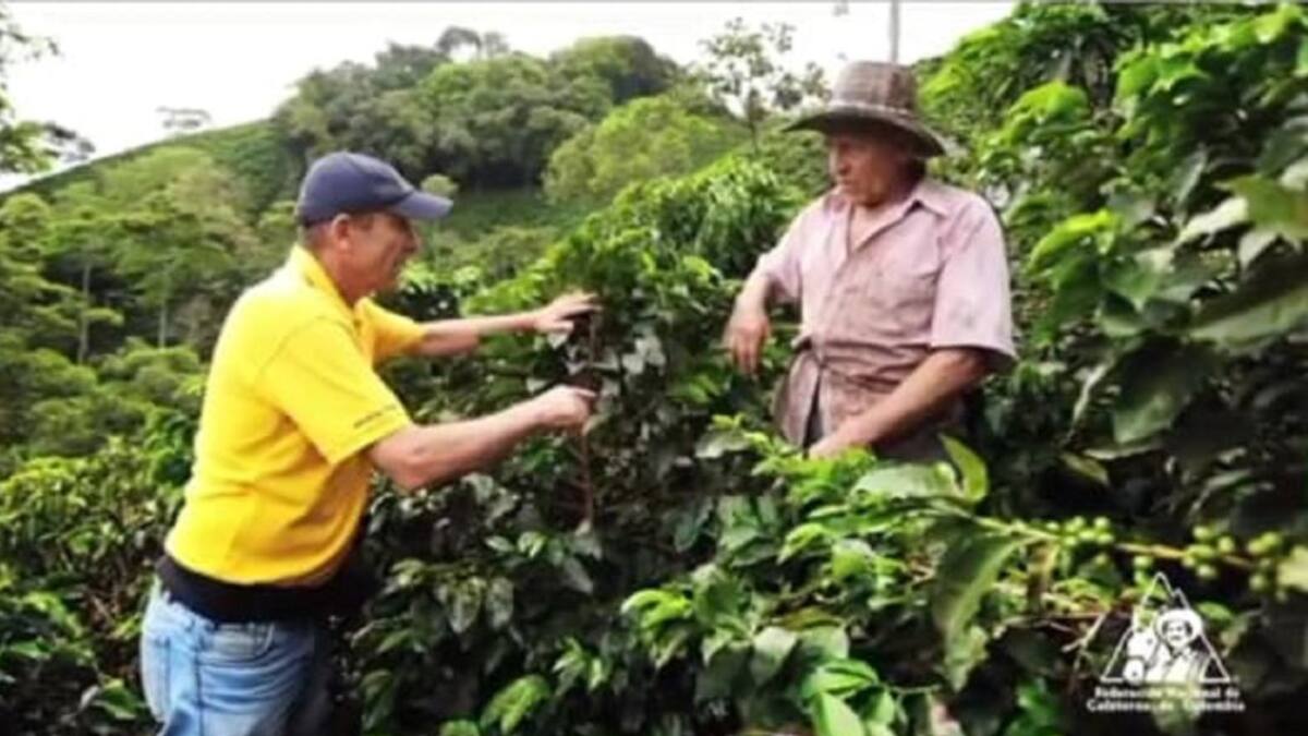 Más de 300 campesinos en Santa María, Huila quedarían en quiebra