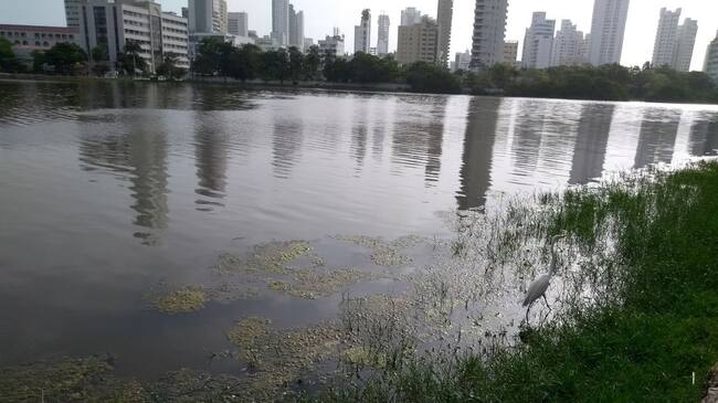 El requerimiento del Ministerio Público se realiza de forma directa a la alcaldía